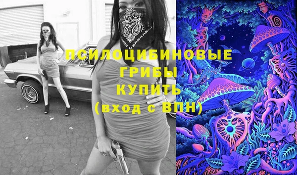 мдпв Нефтегорск