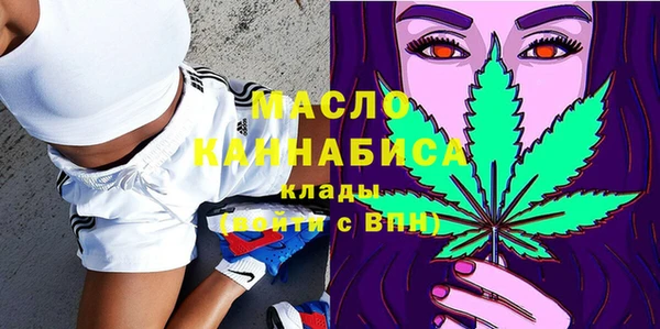 тгк Нея