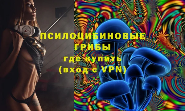 тгк Нея