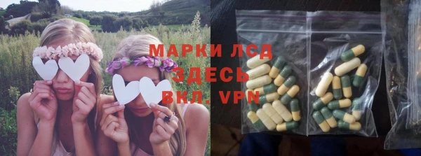 тгк Нея